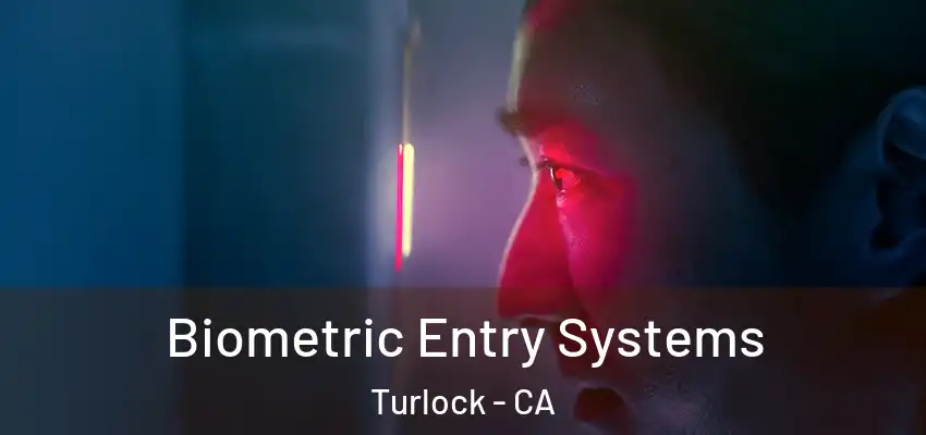  Biometric Entry Systems Turlock - CA