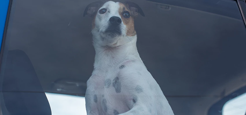 Car Lockout Solutions in Turlock, California